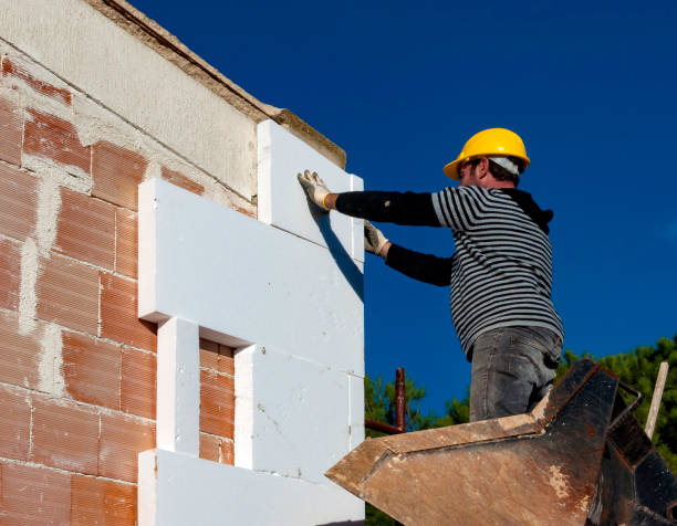 Best Wall Insulation Contractor  in Marshall, WI