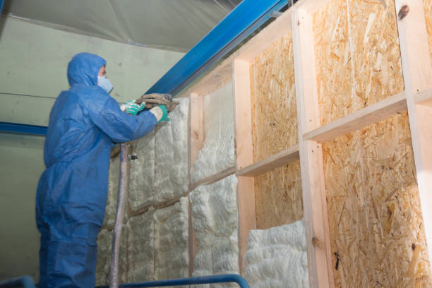 Best Insulation Inspection Services  in Marshall, WI